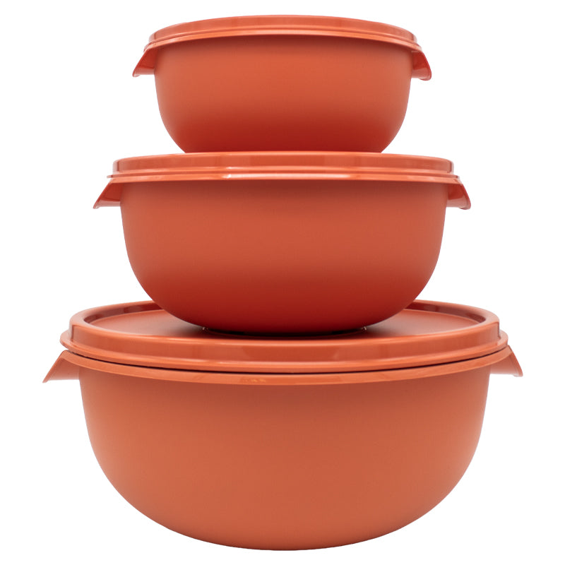 3pc Bowl Set & Lids - (1.25,2.5,5Lt)