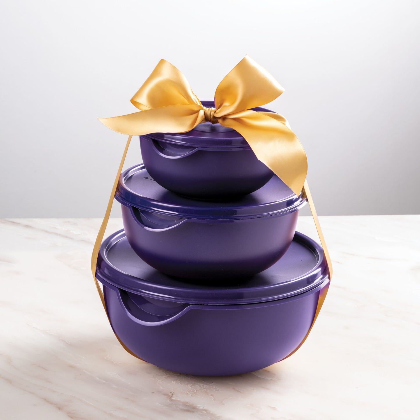 3pc Bowl Set & Lids - (1.25,2.5,5Lt)