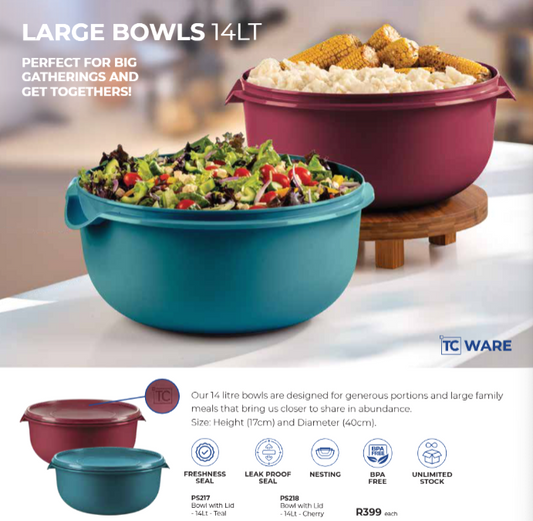 Bowl with Lid - 14Lt
