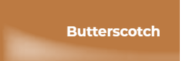 Forever Foundation 30ml - Butterscotch